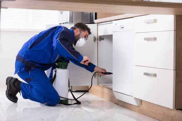 Understanding Local Pest Control Services in the United States: Key Insights for 2025